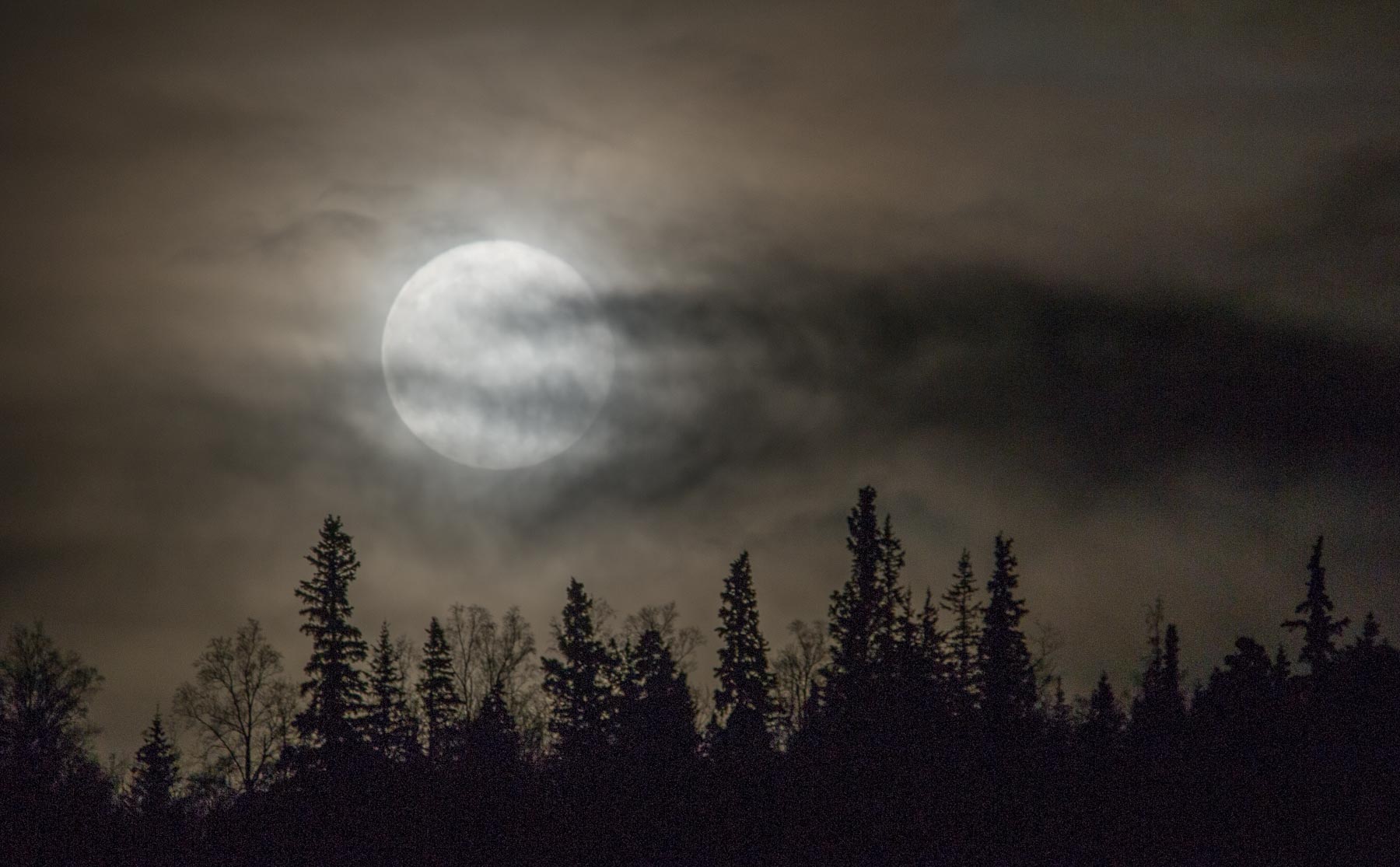 Super Moon Over Anchorage, Alaska November 14, 2016